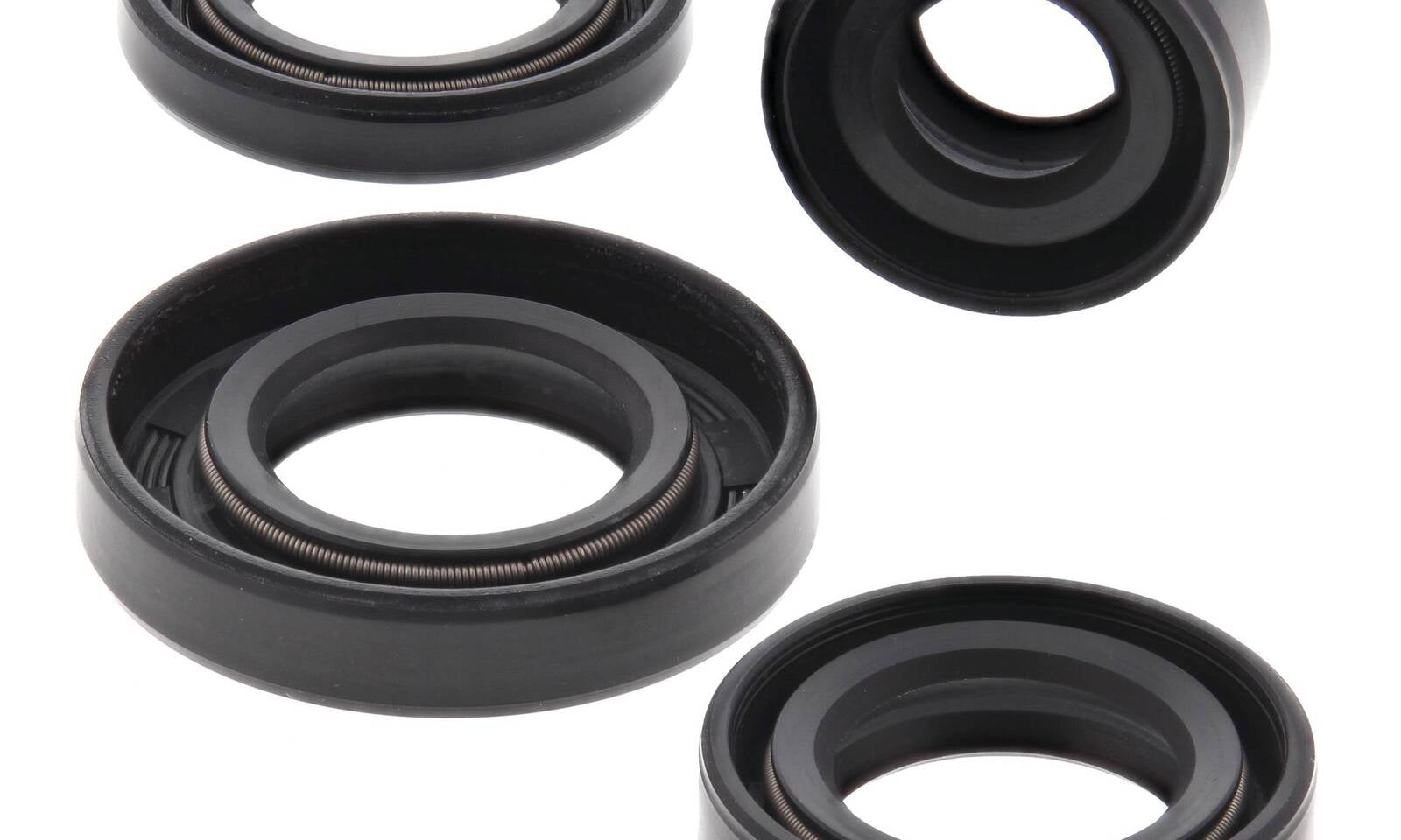 Oil Seal Kit 822162