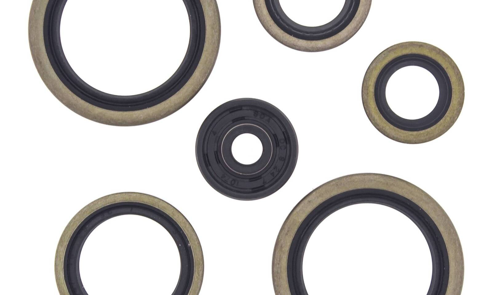 Oil Seal Kit 822187