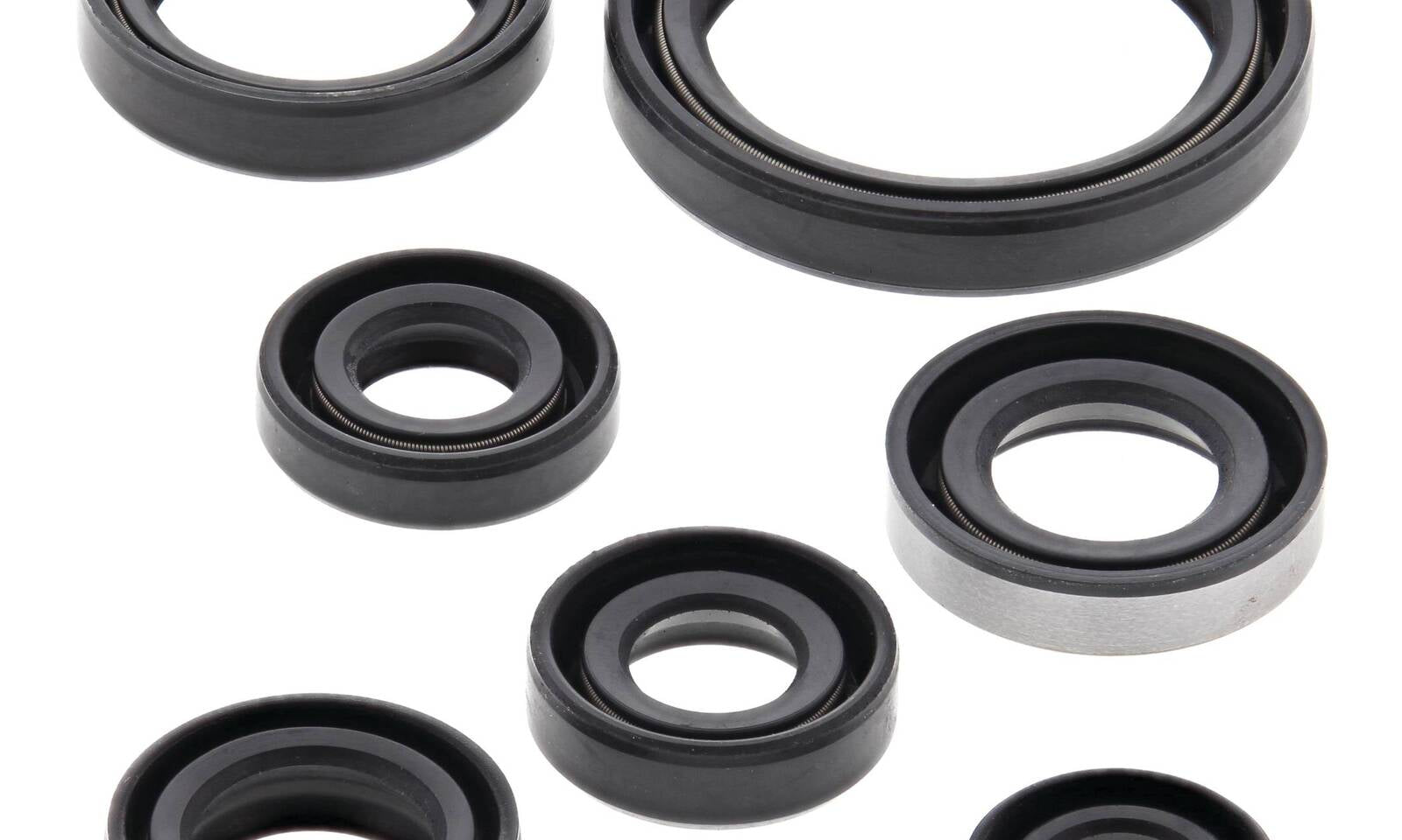 Oil Seal Kit 822193