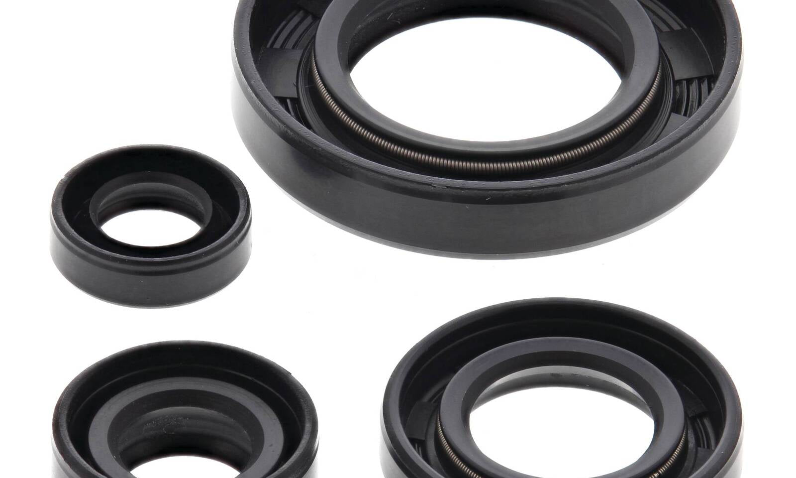Oil Seal Kit 822195