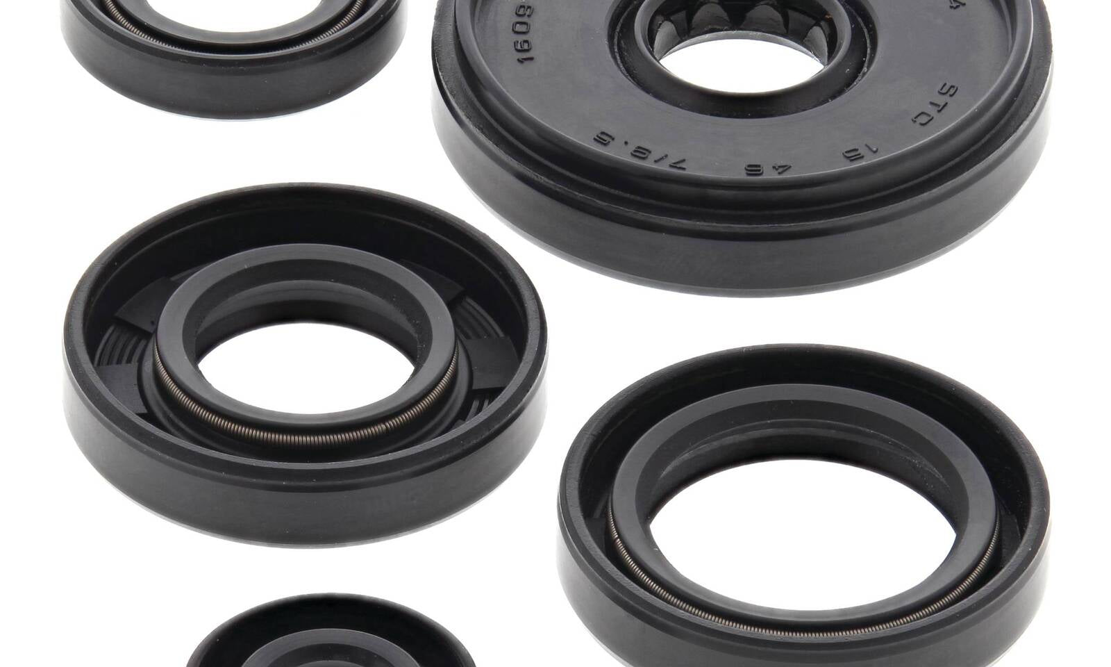 Oil Seal Kit 822196