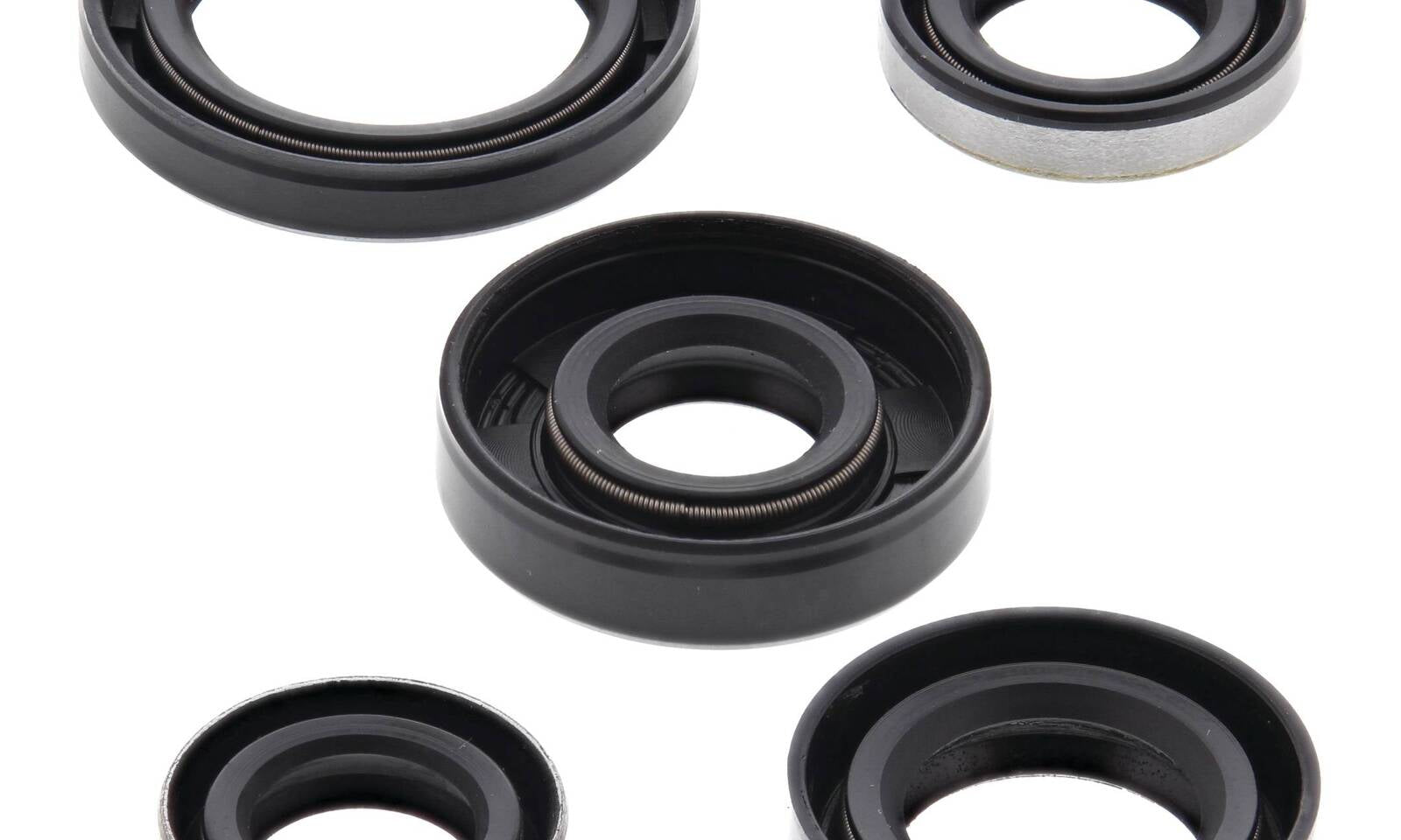 Oil Seal Kit 822216