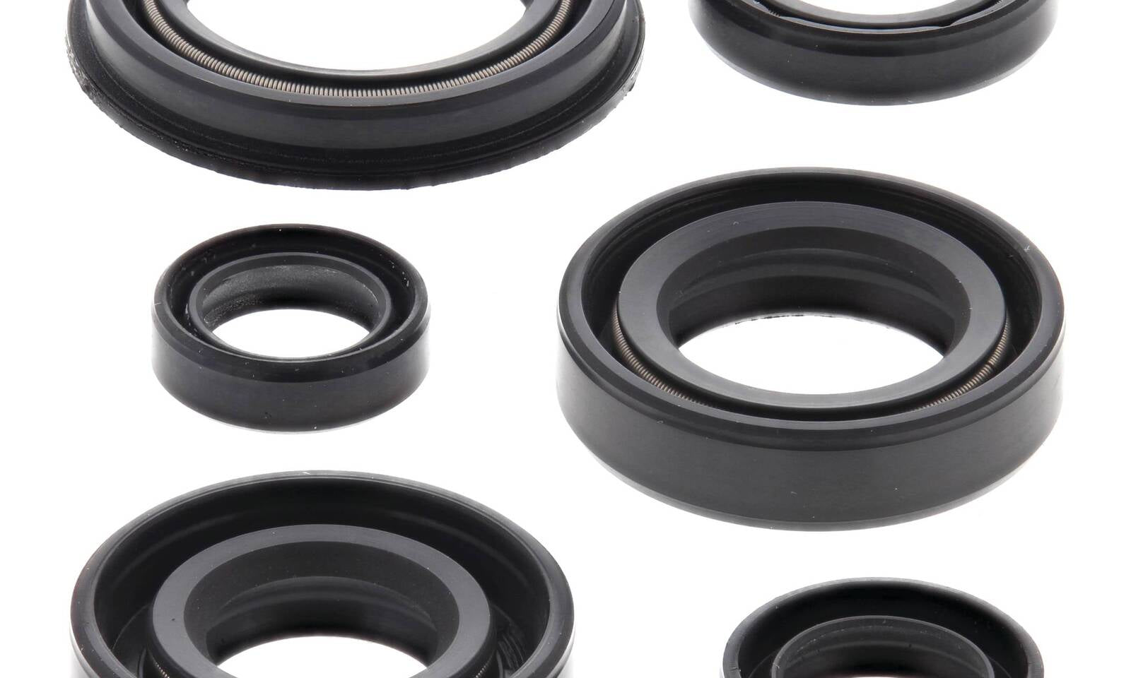 Oil Seal Kit 822220