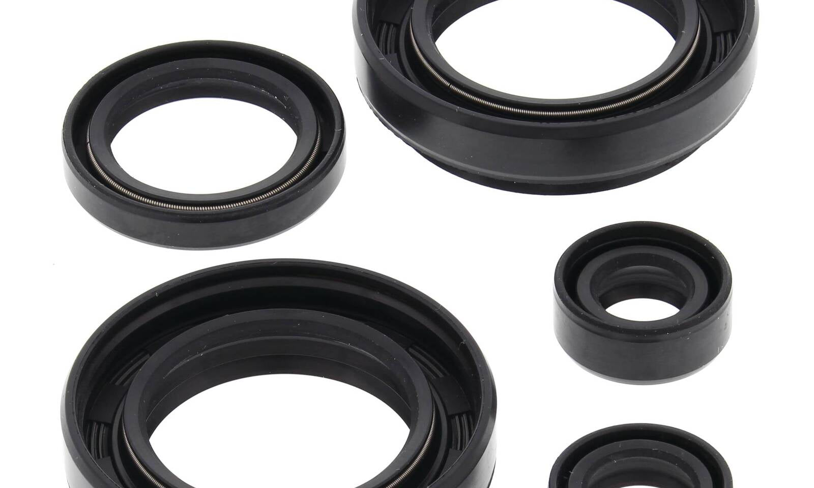 Oil Seal Kit 822234