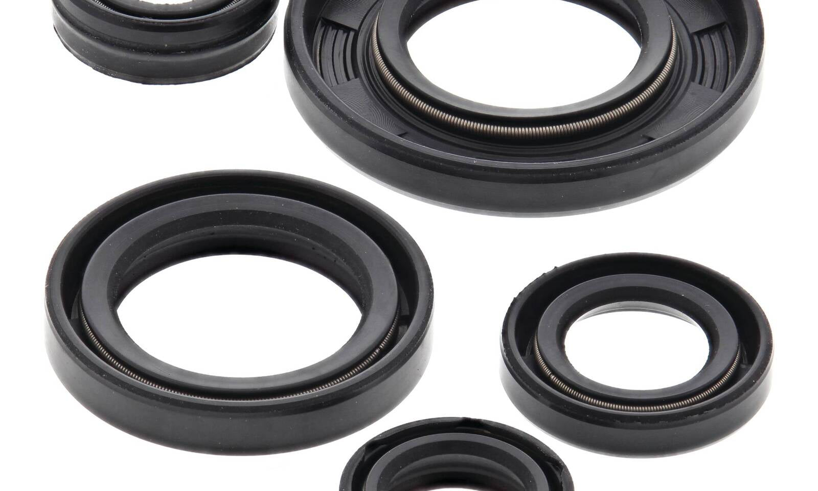 Oil Seal Kit 822240
