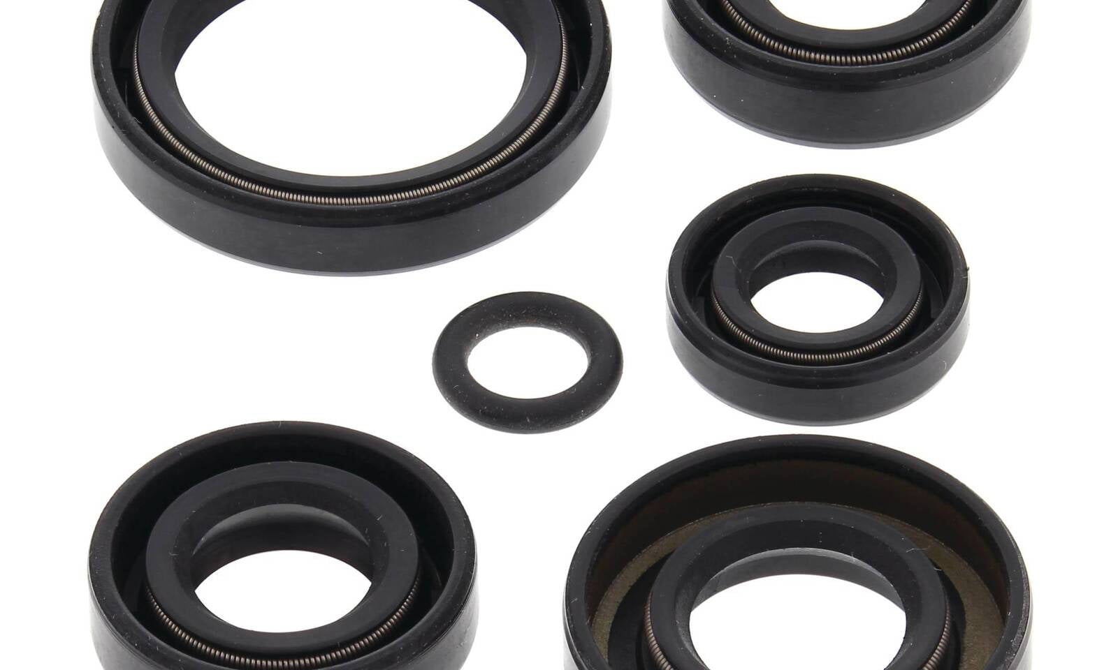 Oil Seal Kit 822242