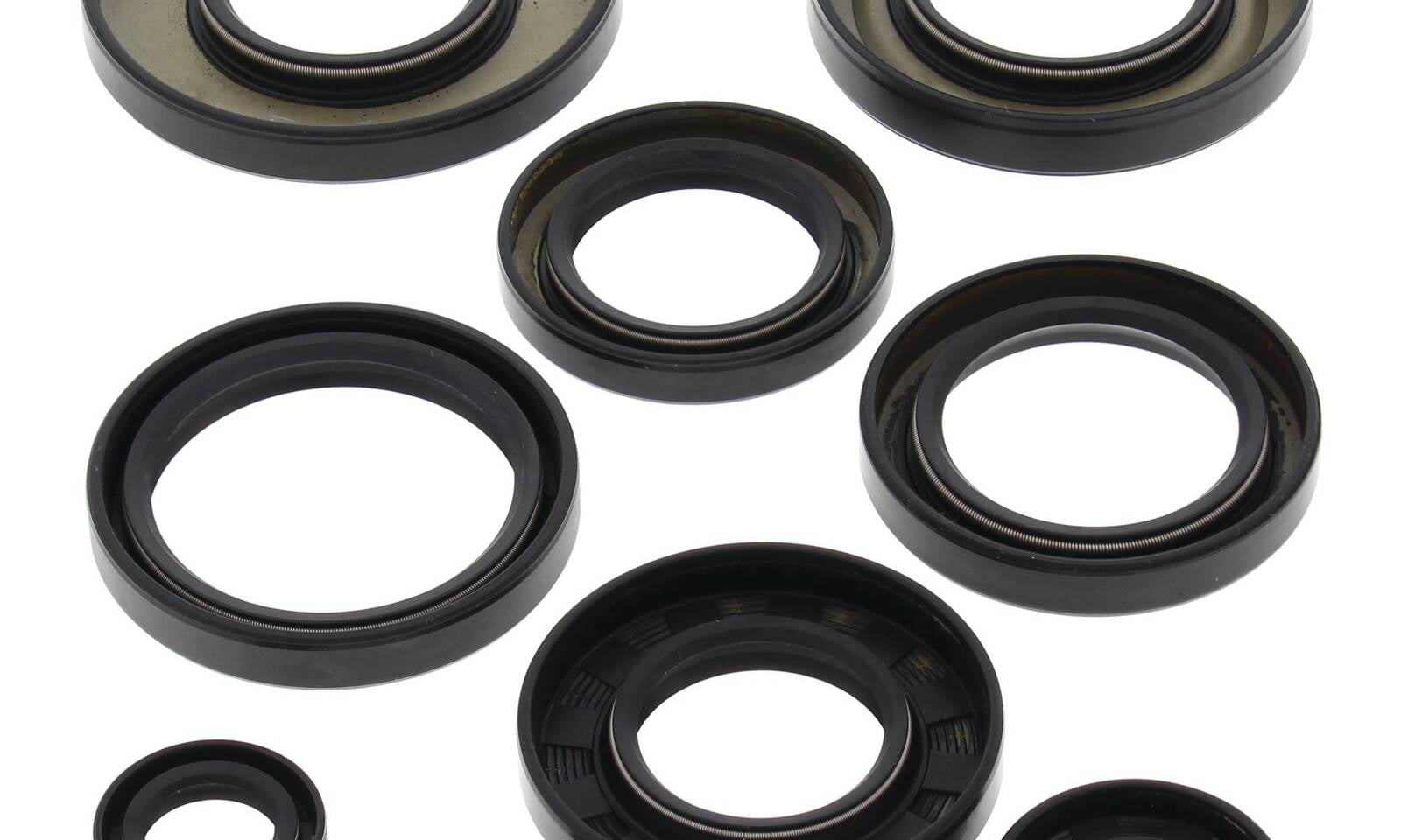 Oil Seal Kit 822247