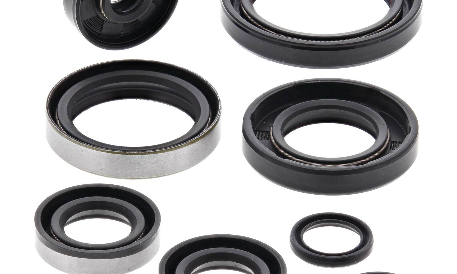 Oil Seal Kit 822264