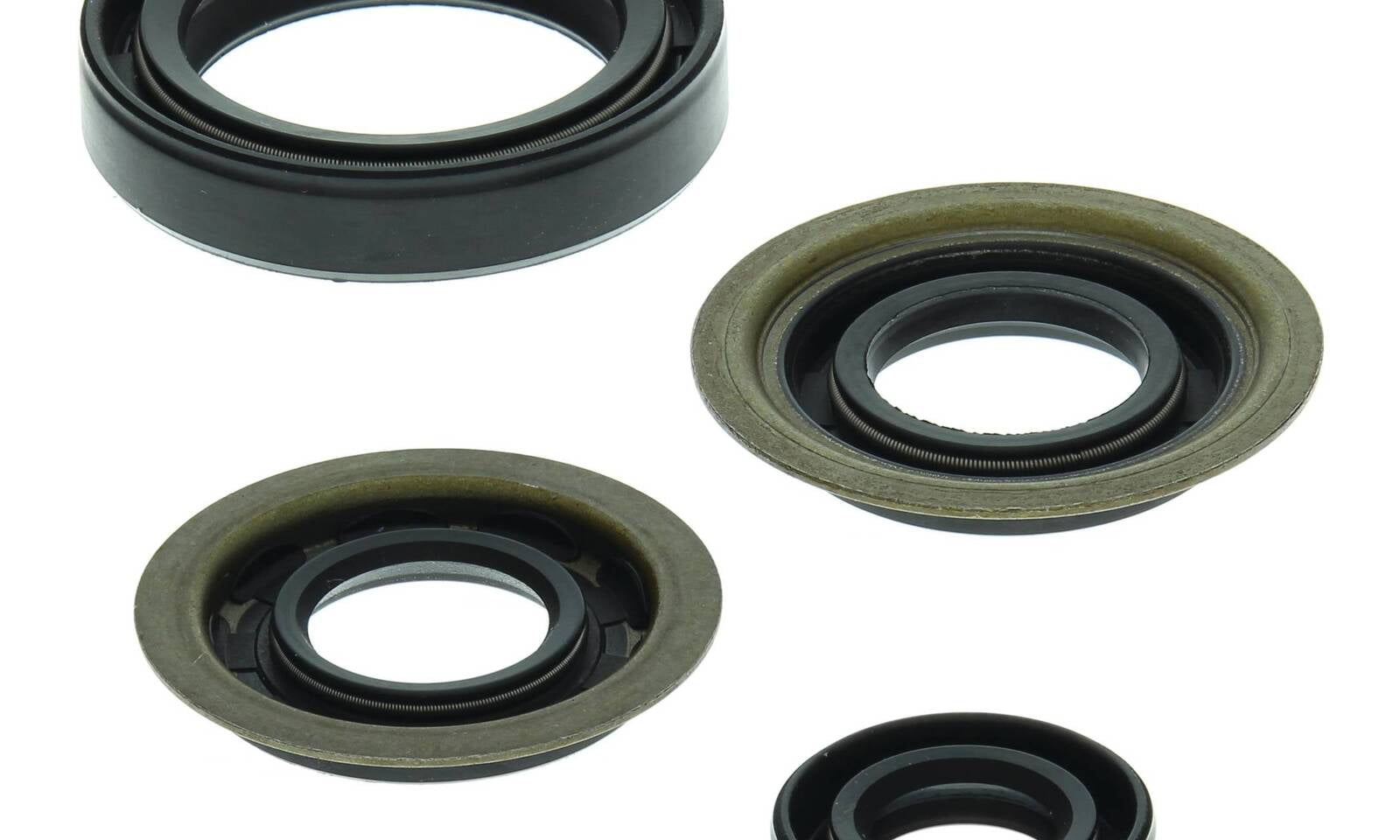 Oil Seal Kit 822273