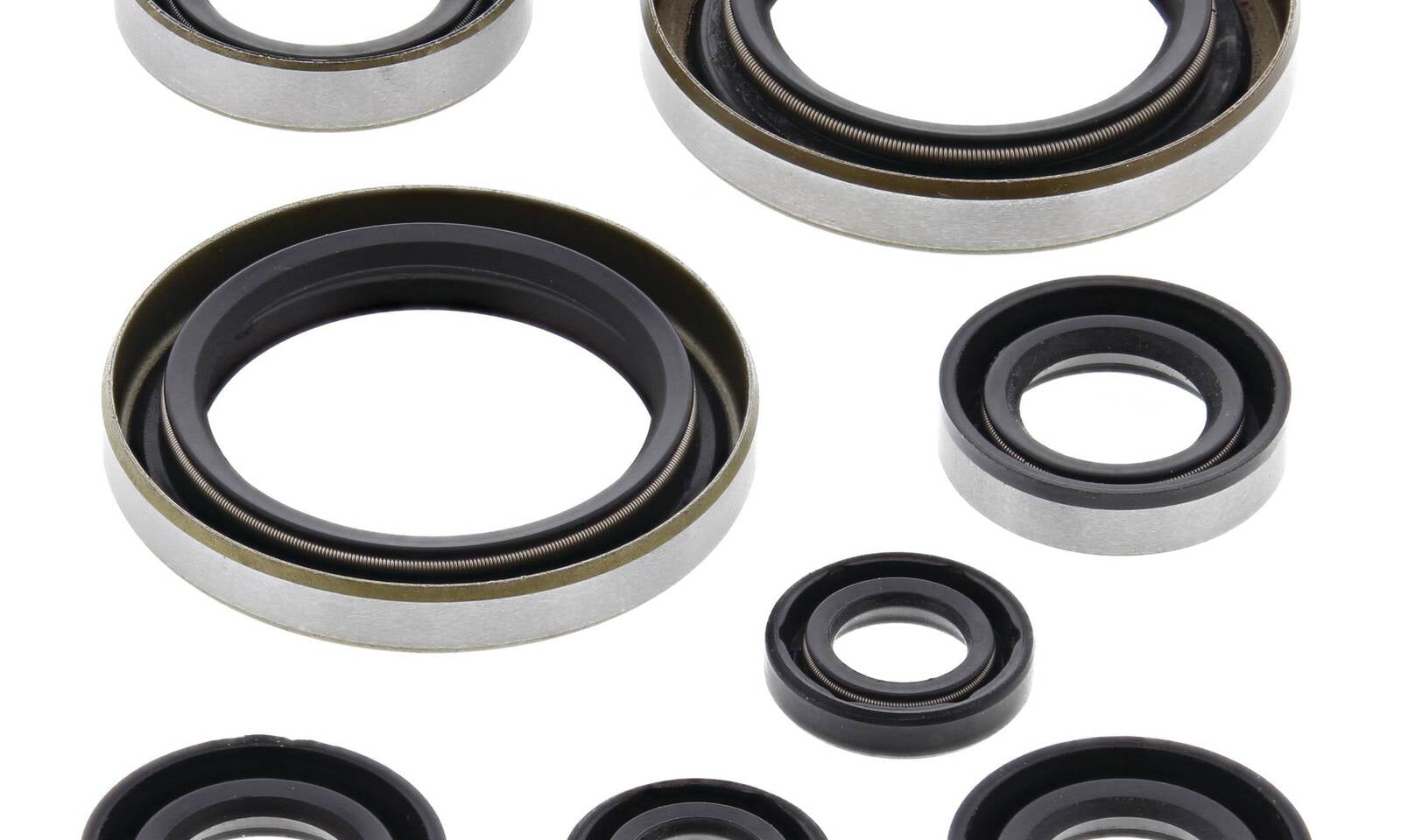 Oil Seal Kit 822274