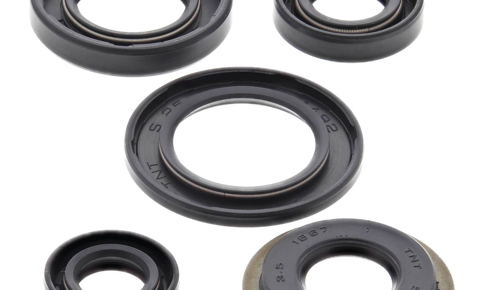 Oil Seal Kit 822308