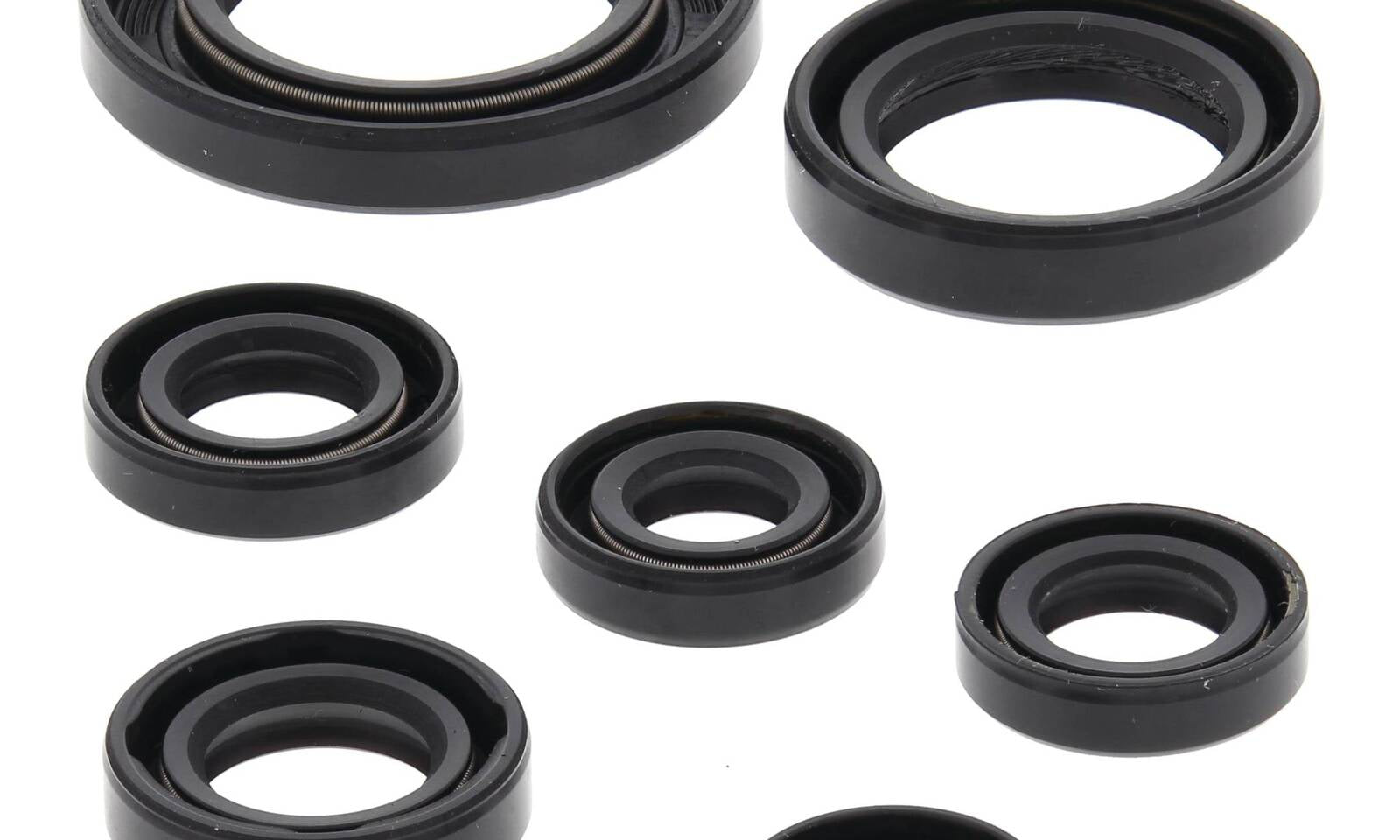 Oil Seal Kit 822311