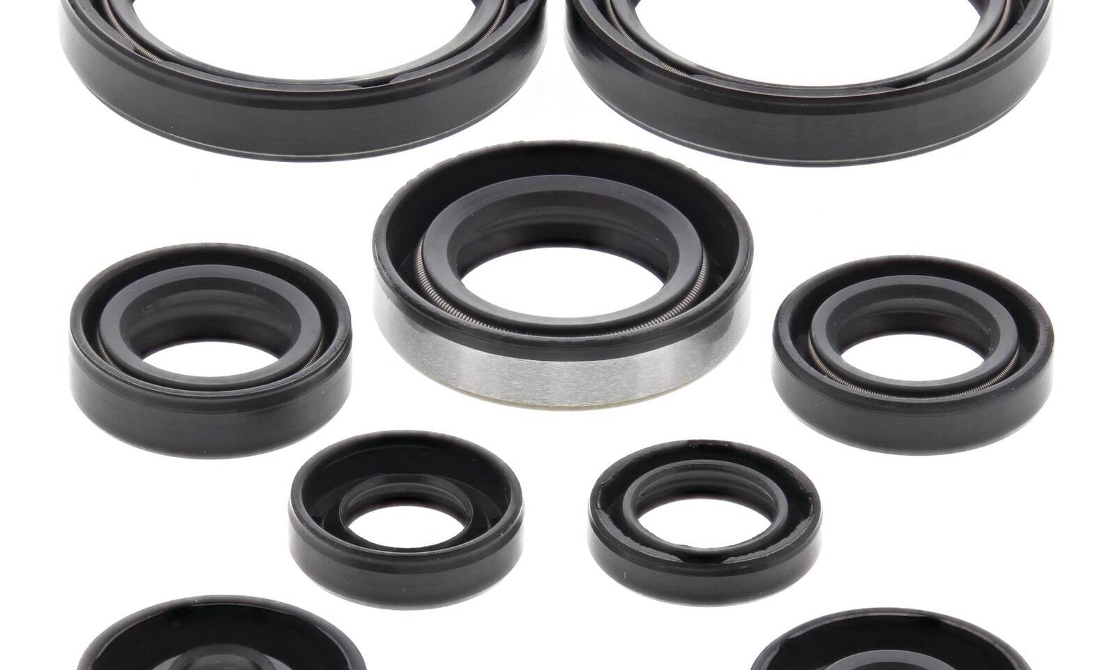 Oil Seal Kit 822316