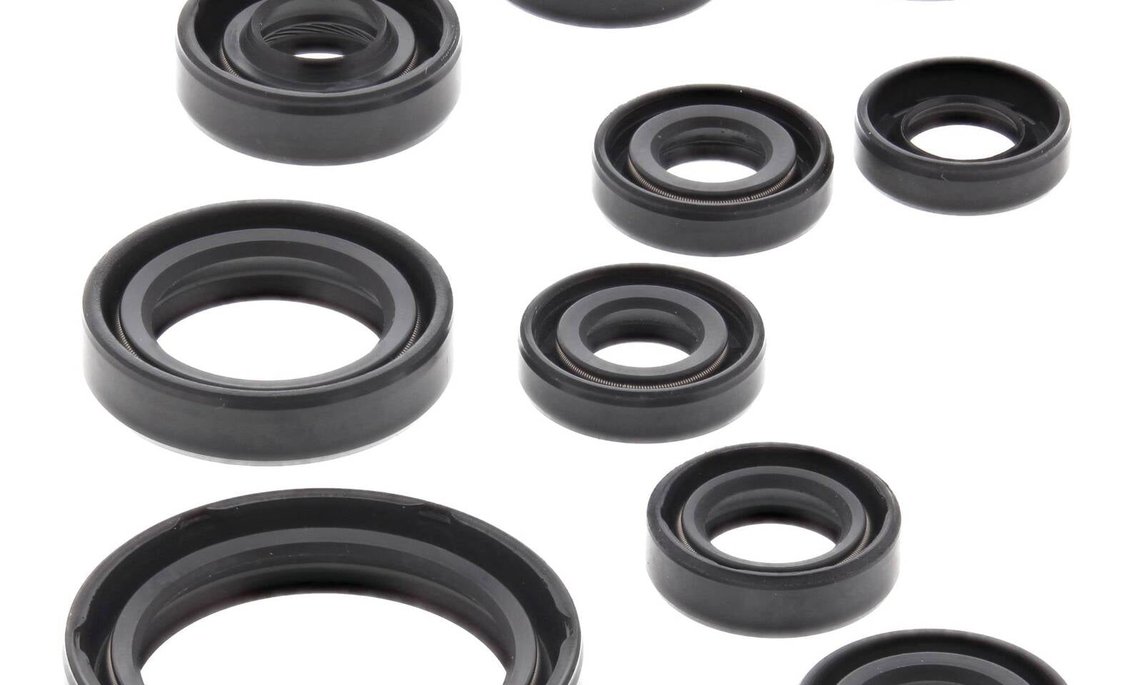 Oil Seal Kit 822319