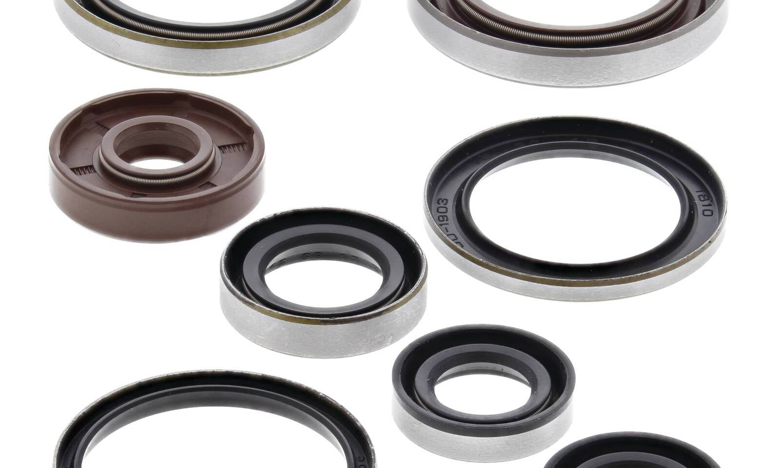 Oil Seal Kit 822320