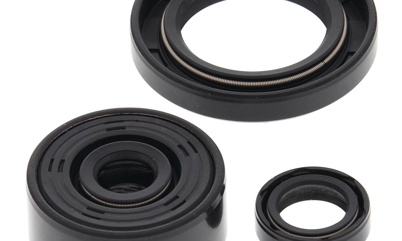 Oil Seal Kit 822339