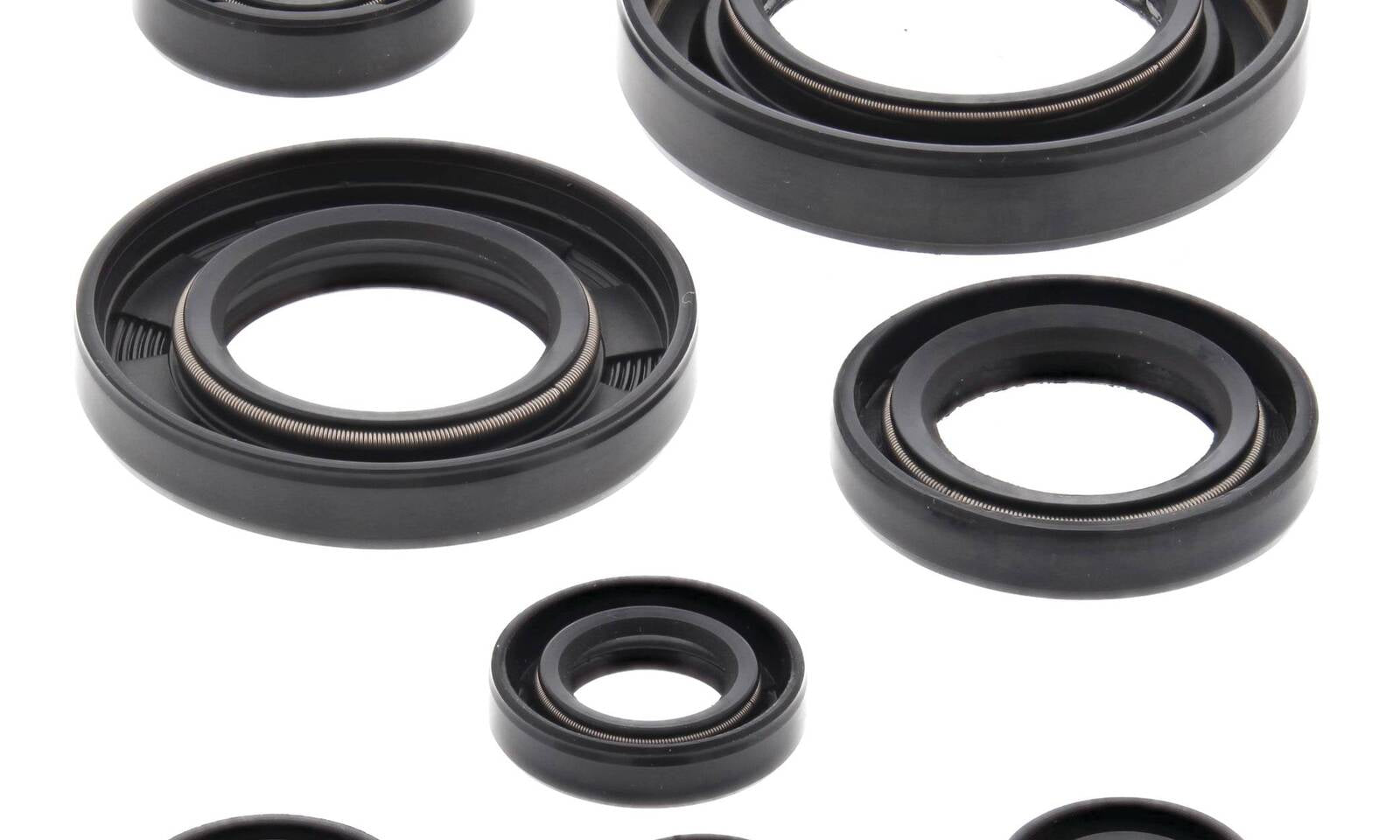 Oil Seal Kit 822354