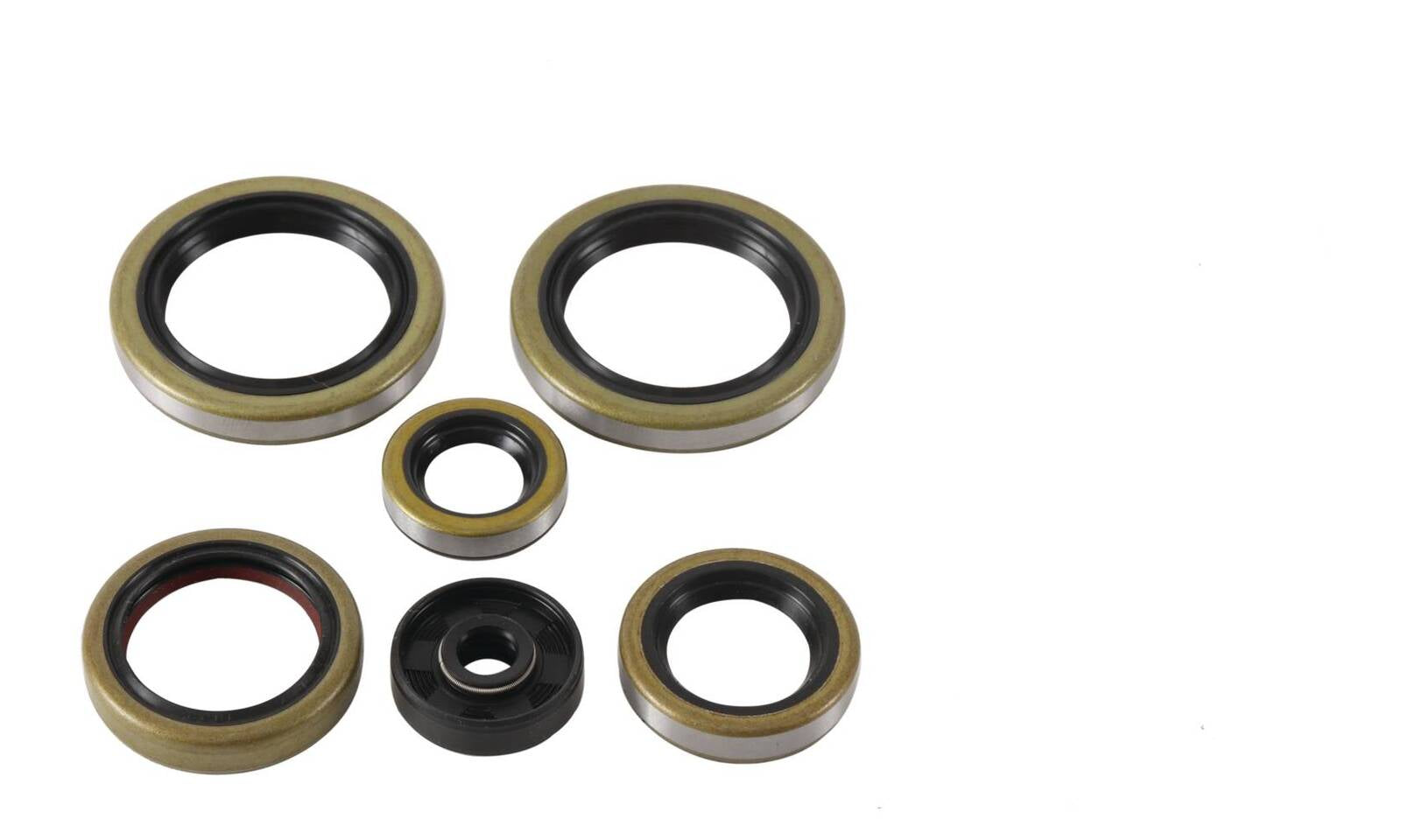 Oil Seal Kit 822370