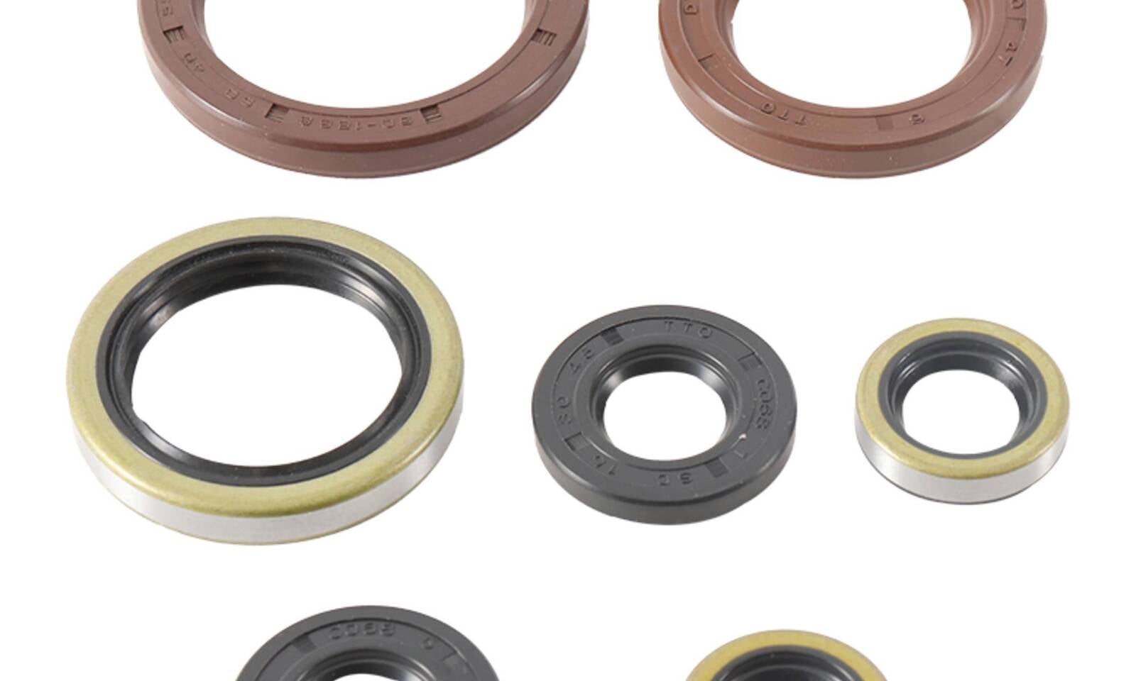 Oil Seal Kit 822372