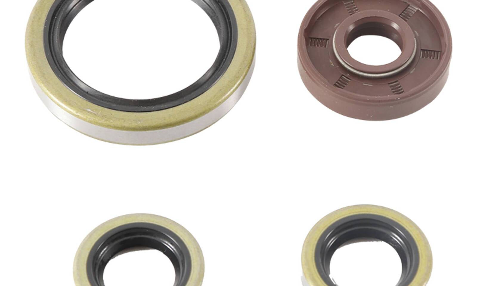 Oil Seal Kit 822374