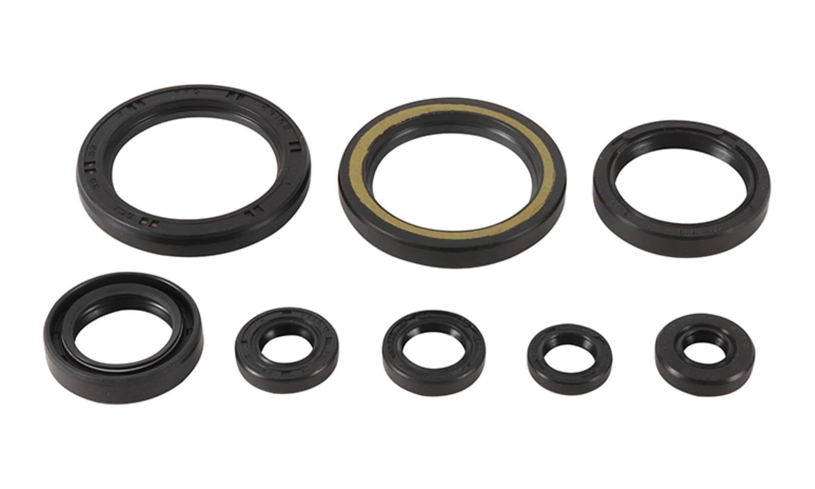 Oil Seal Kit 822378