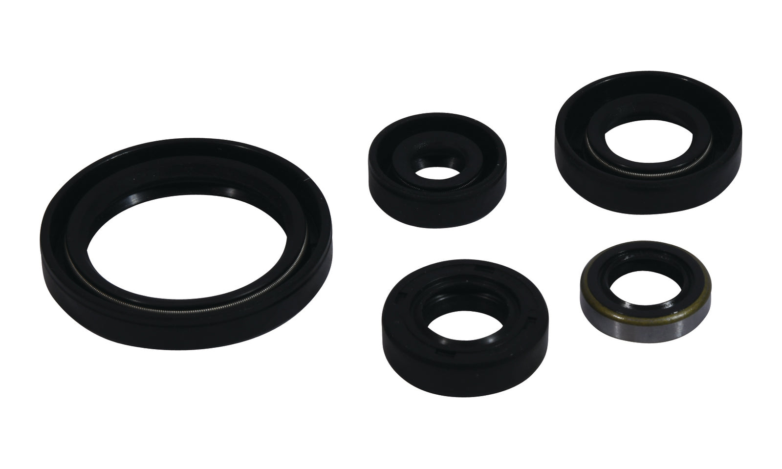 Oil Seal Kit 822380