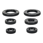 Oil Seal Kit 822391