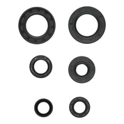 Oil Seal Kit 822391