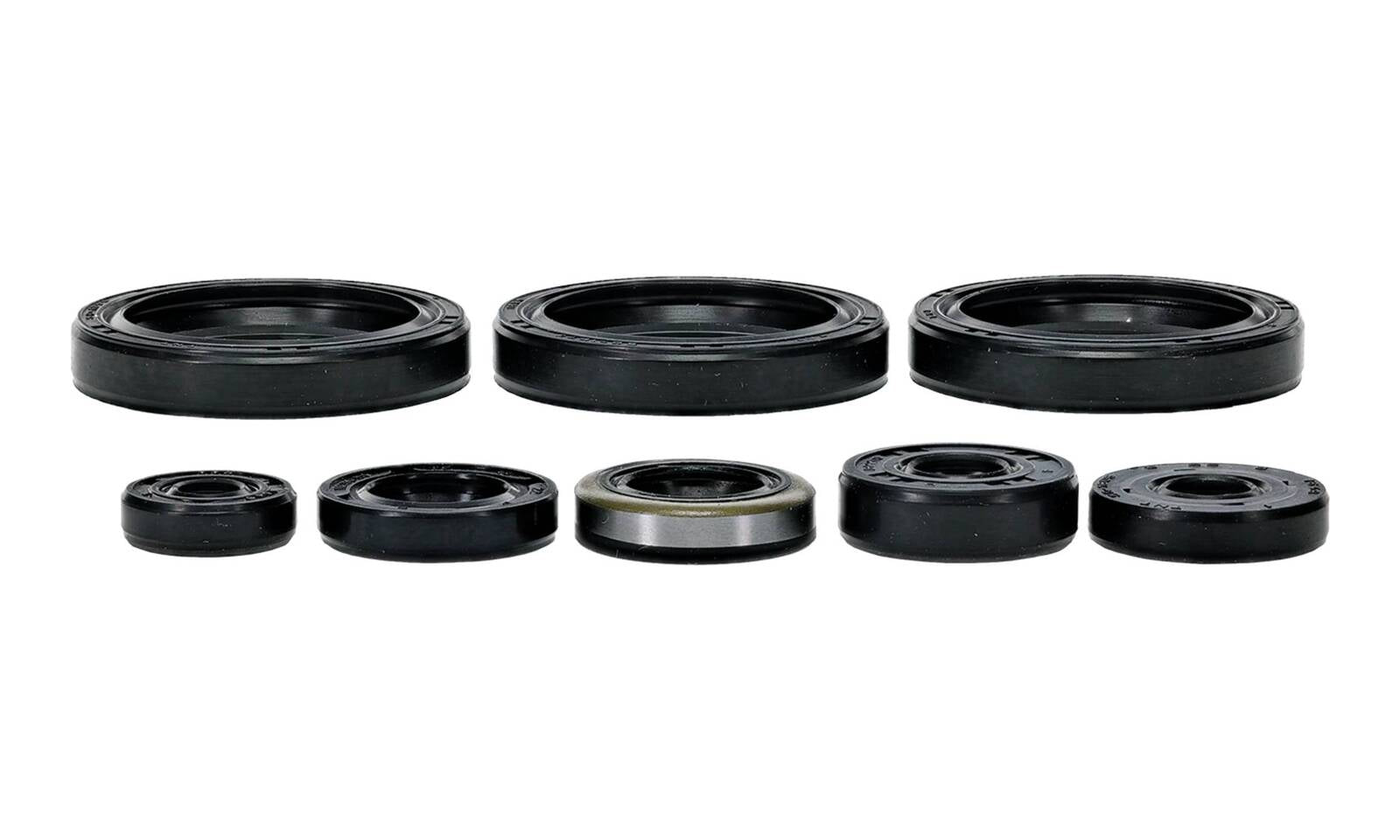 Oil Seal Kit 822403