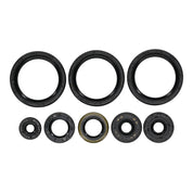 Oil Seal Kit 822403