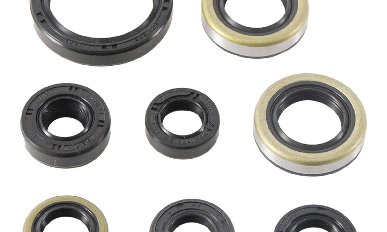 Oil Seal Kit 822485