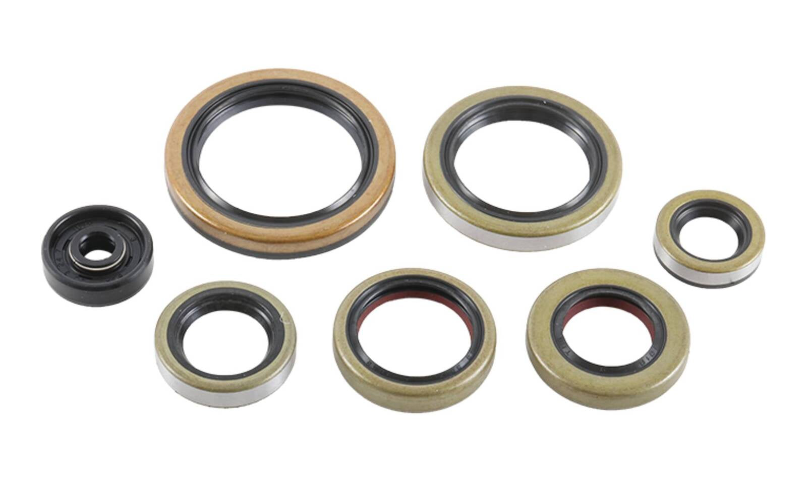 Oil Seal Kit 822976