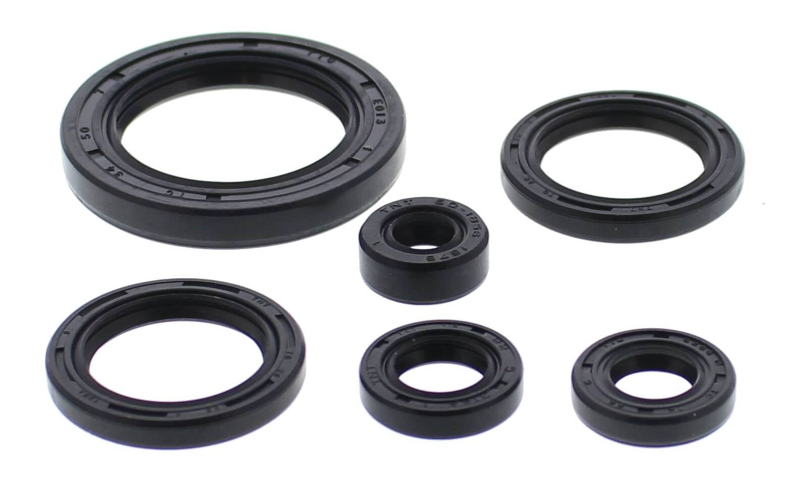 Oil Seal Kit 822978