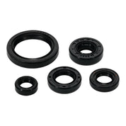 OIL SEAL KIT 822994