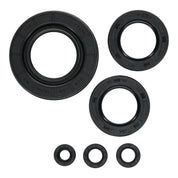 Oil Seal Kit 822997