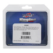 Oil Seal Kit 822997