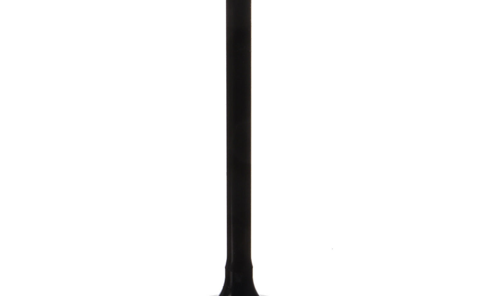 VER84000021.JPG