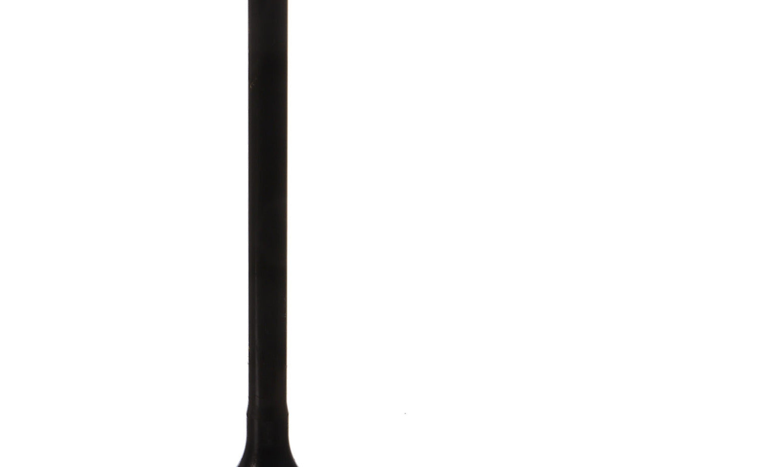 VER84000025.JPG
