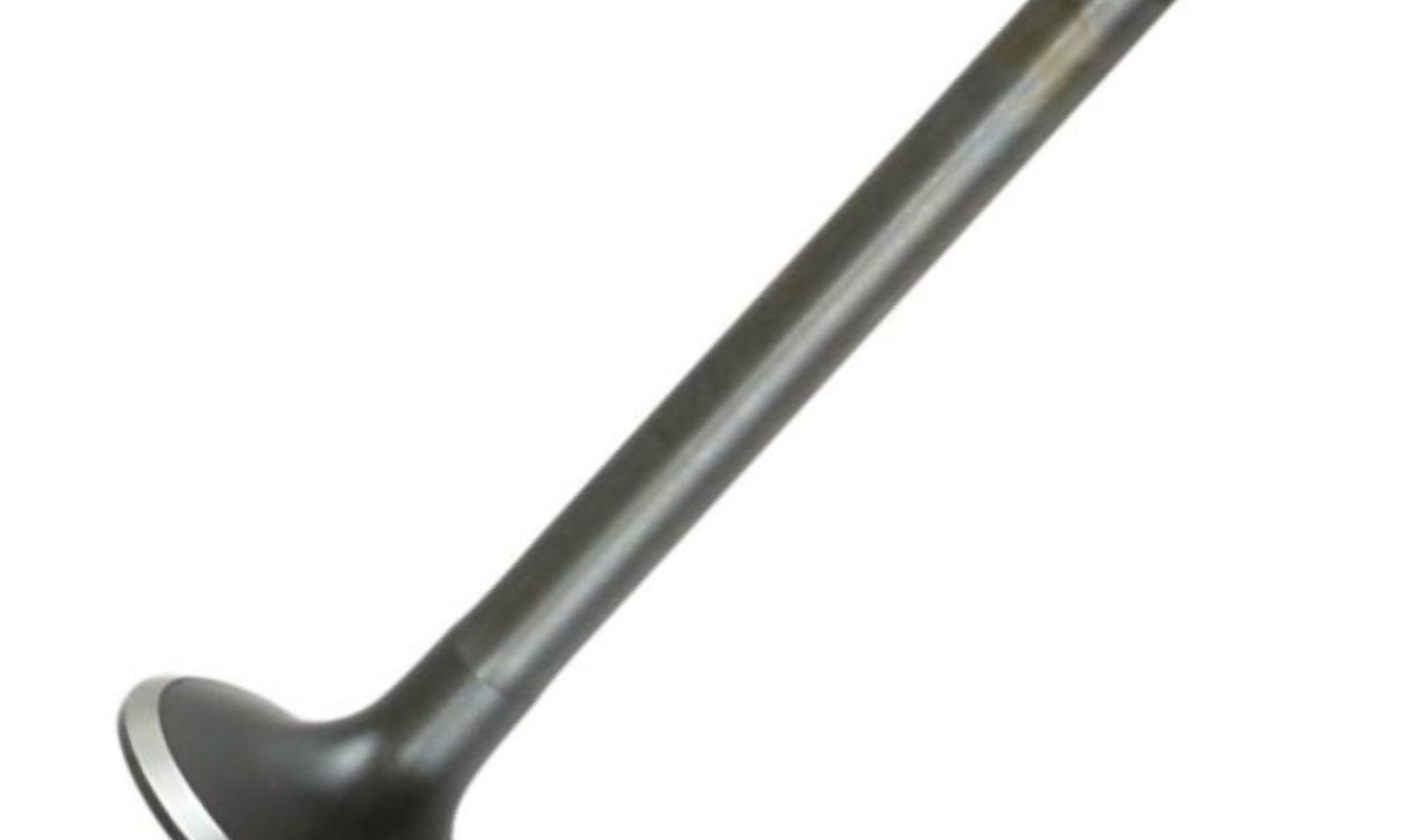 VER84000062.JPG