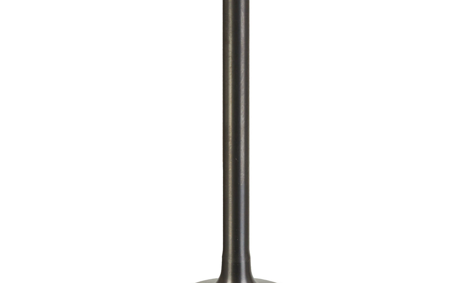 VER84000081.JPG