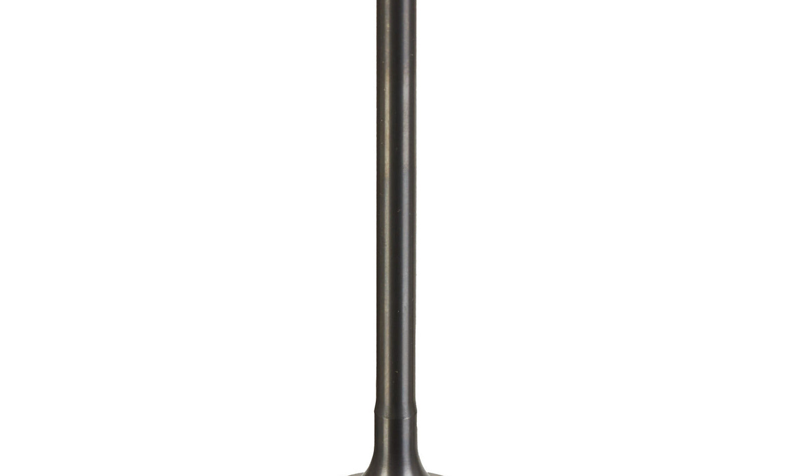 VER84000083.JPG
