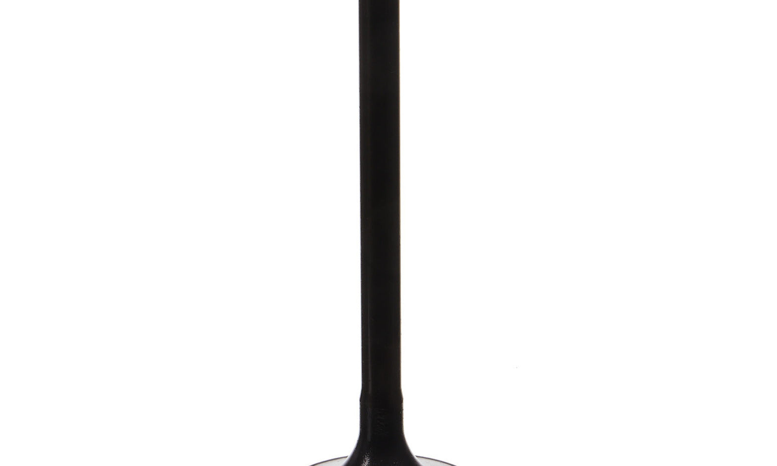 VER84000271.JPG