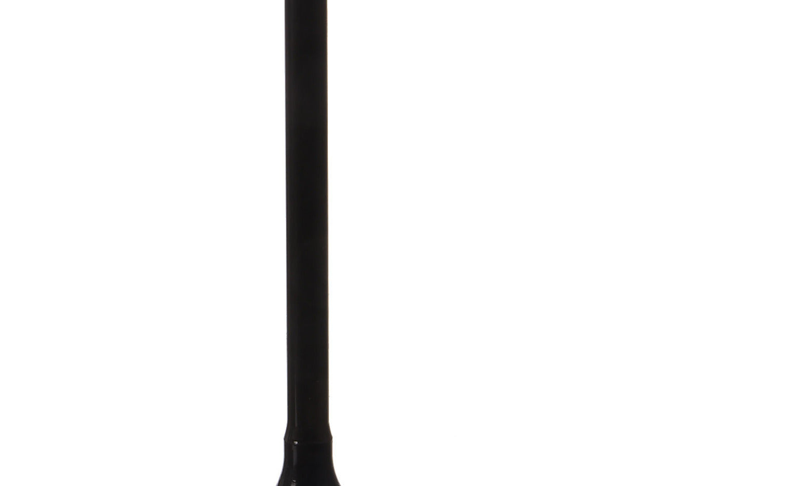 VER84000275.JPG