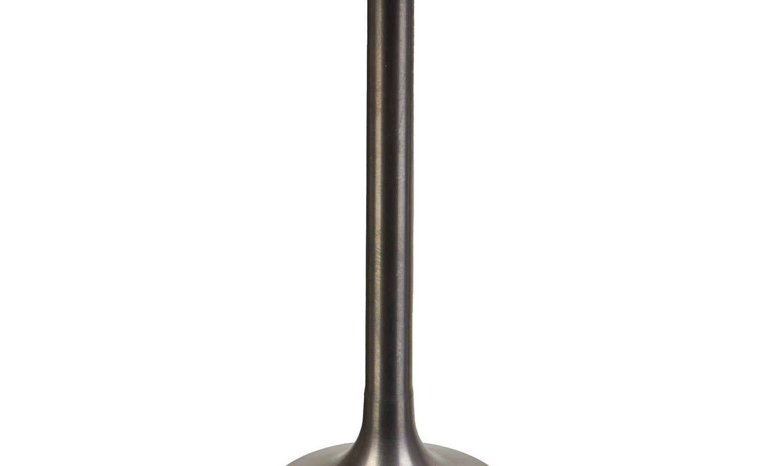 VER84000311.JPG