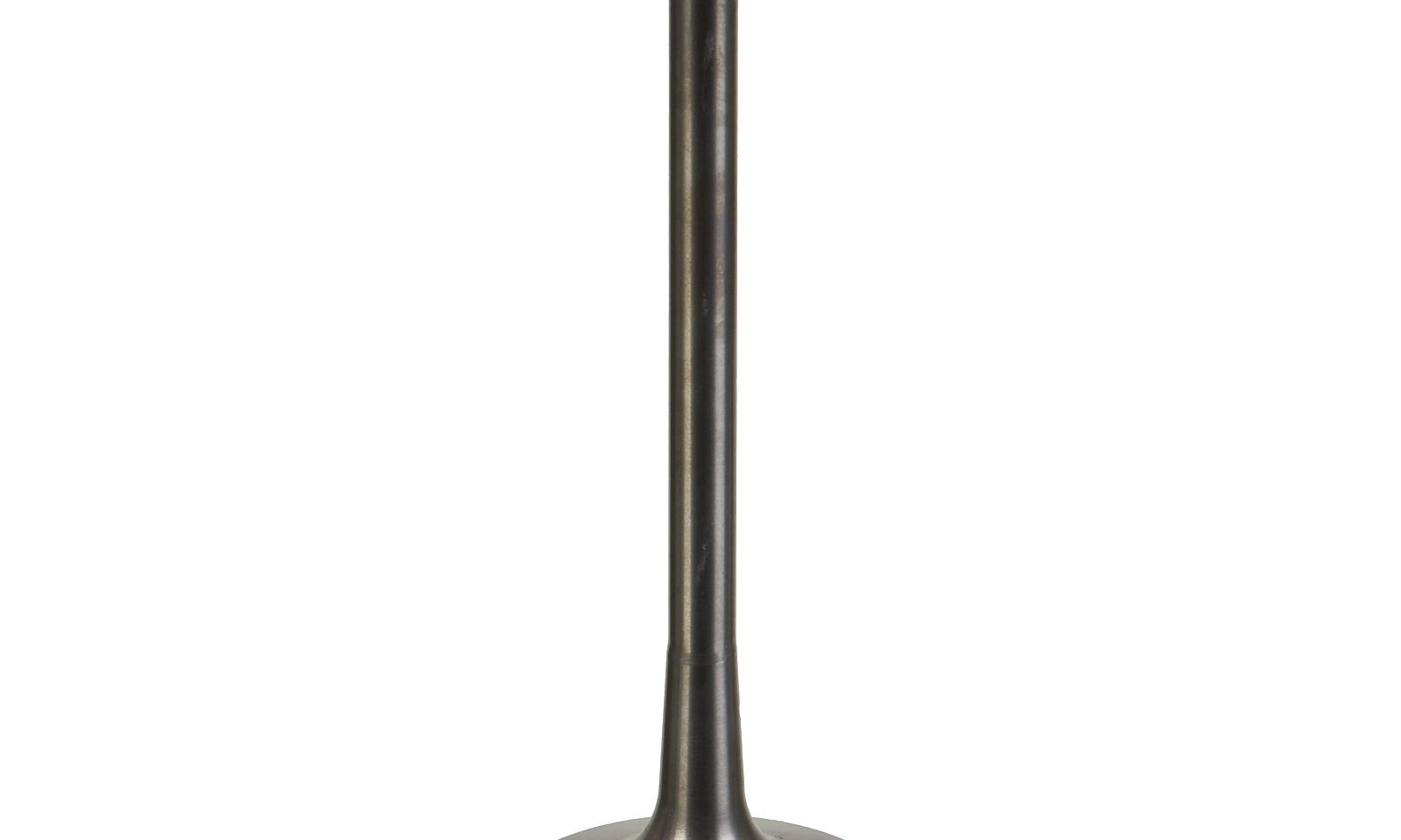 VER84000342.JPG