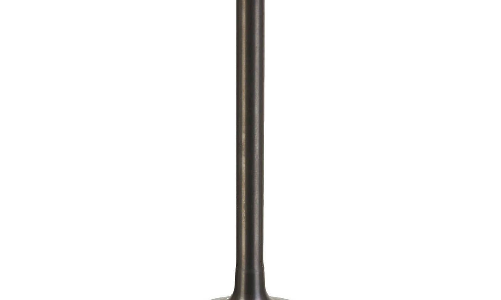 VER84000371.JPG