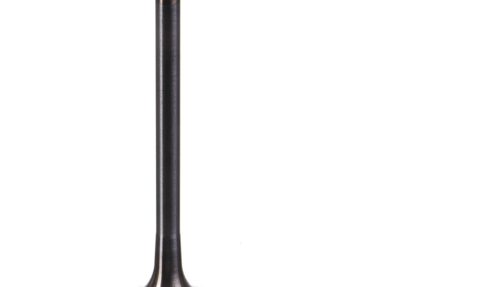 VER84000381.JPG