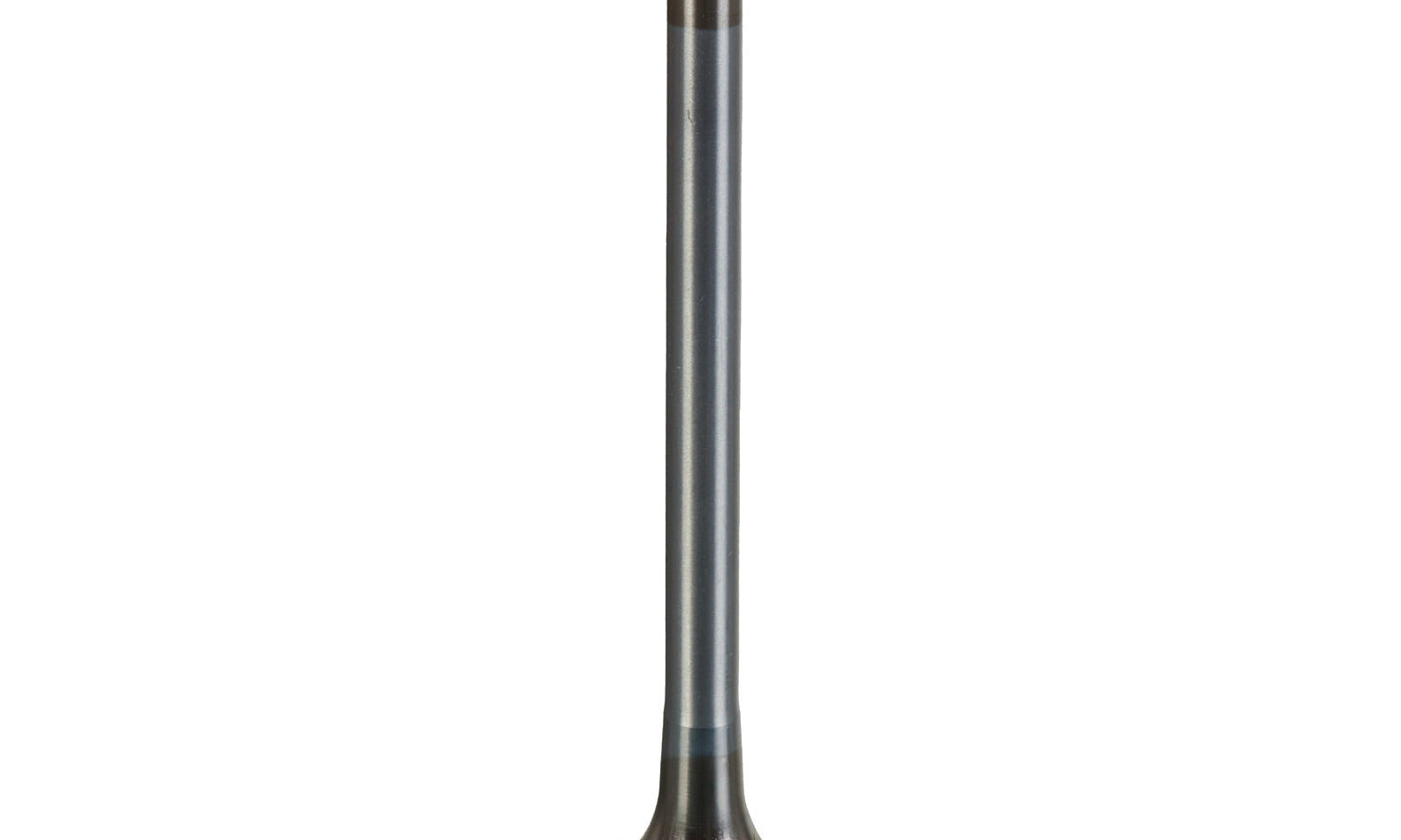 VER84000382.JPG
