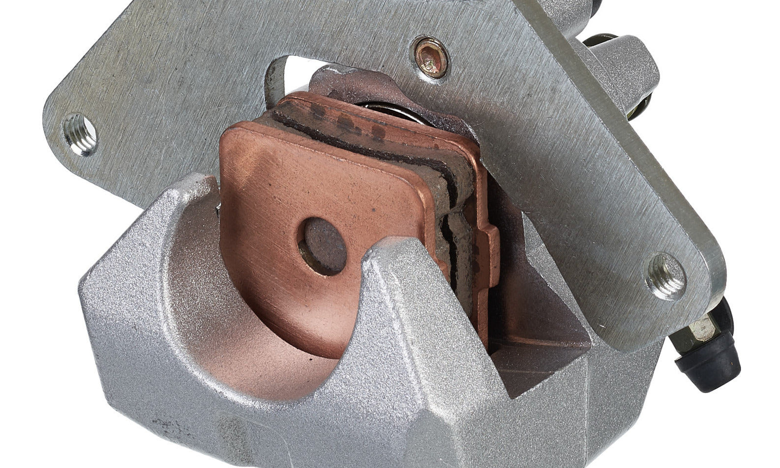 WBCAU004.JPG