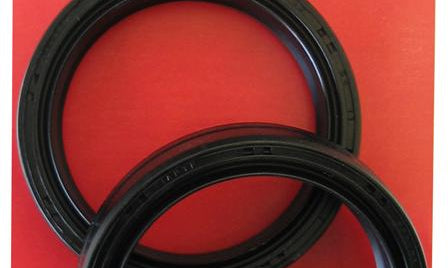 fork seals pic